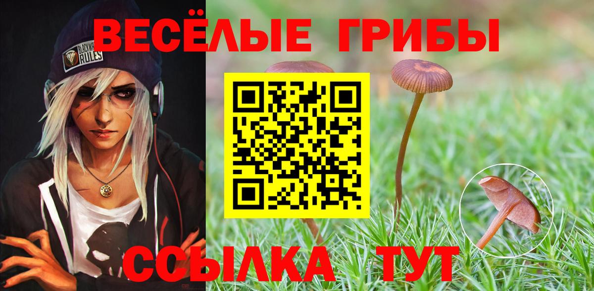 Псилоцибиновые грибы MAGIC MUSHROOMS  Вход с VPN  Десногорск 