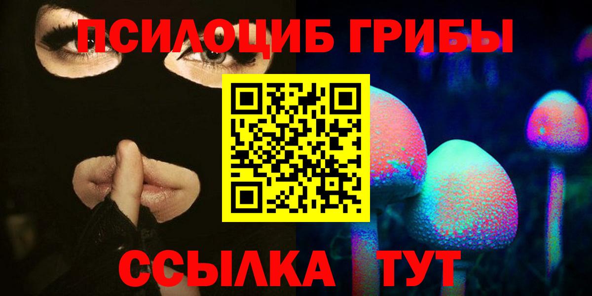 Псилоцибиновые грибы Psilocybe Десногорск